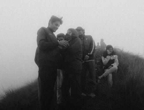 Lost in cooperation?