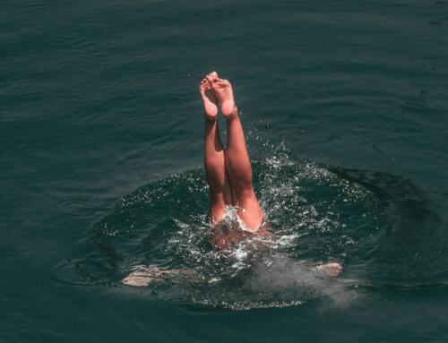 Ein Tauchgang in die Bibel