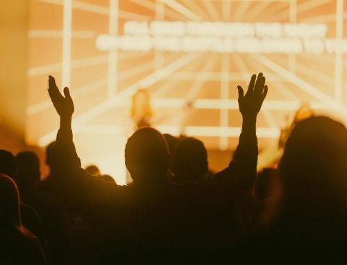 Teil 5: … und wenn du sie nicht hingesetzt hast, dann stehen sie noch heute