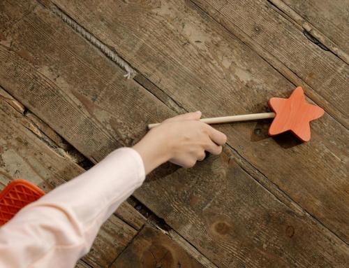 Die Pfarrperson wird Trainer der Feen