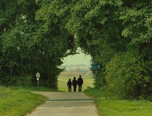 Der Weg zeigt sich beim Gehen – warum Kirche Menschen braucht, die aufbrechen